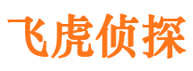 青原调查取证